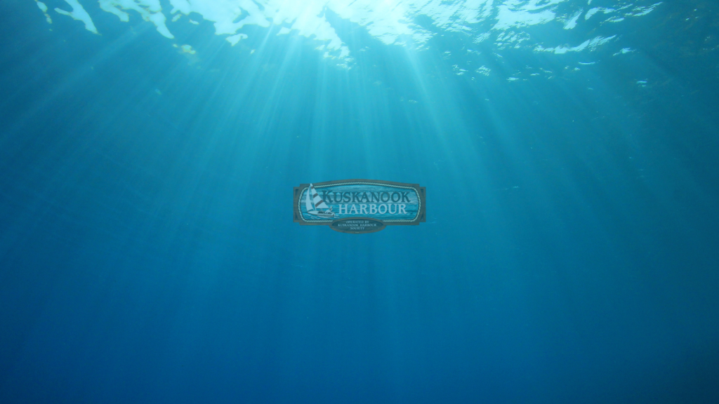 2024background Kuskanook Harbour Society
